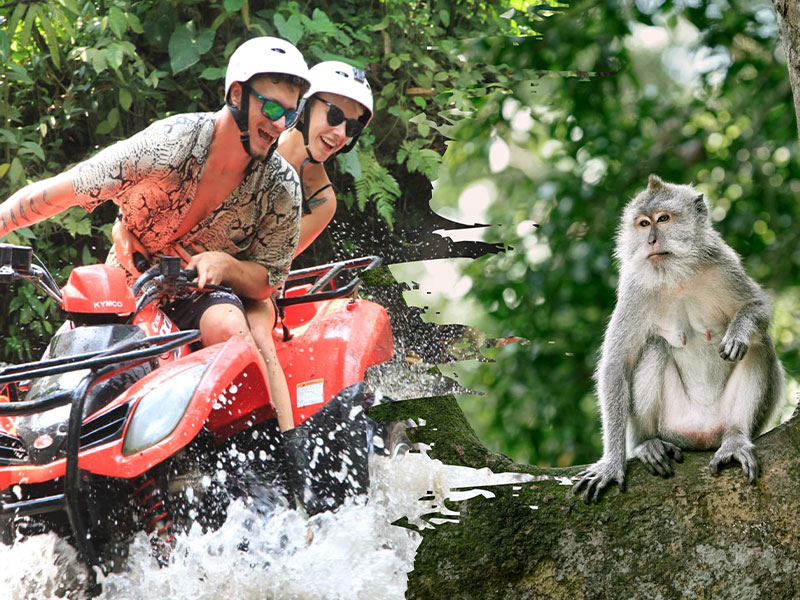 Bali ATV Ride and Kemenuh Monkey River